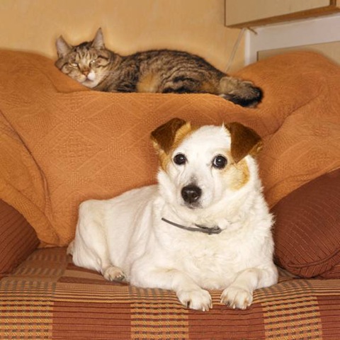clip_image002.jpg