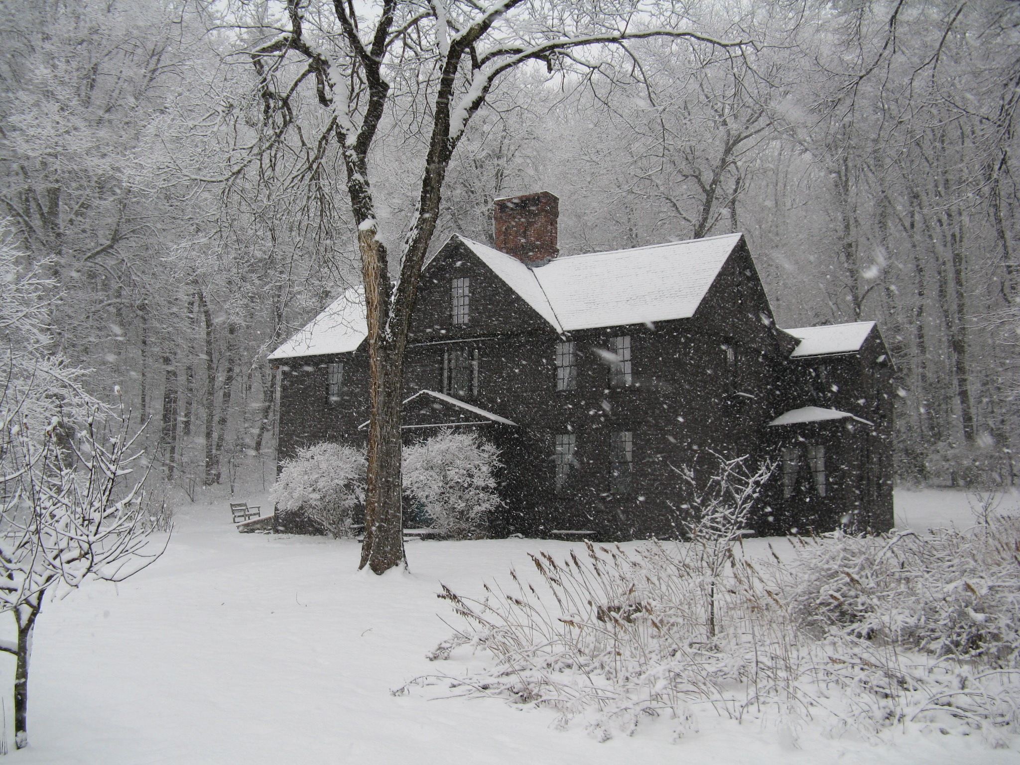 Snowbirds should protect their home before heading south for the winter