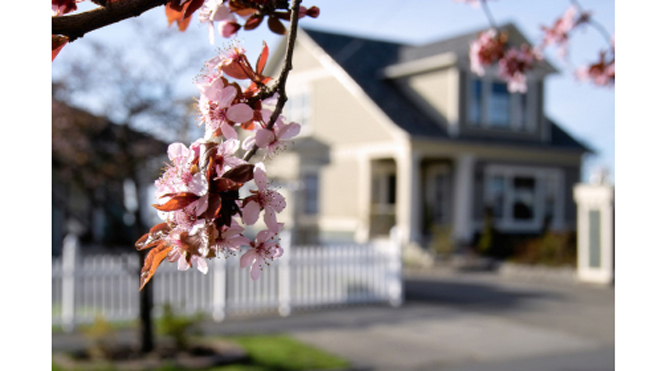 Preventative Home Maintenance Projects for Spring