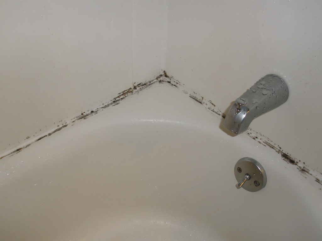 Prevent mold and mildew