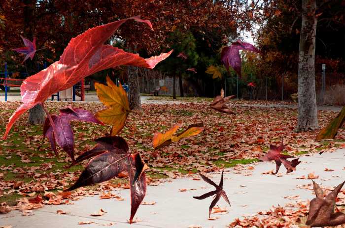 1-autumn-wind-richard-gordon